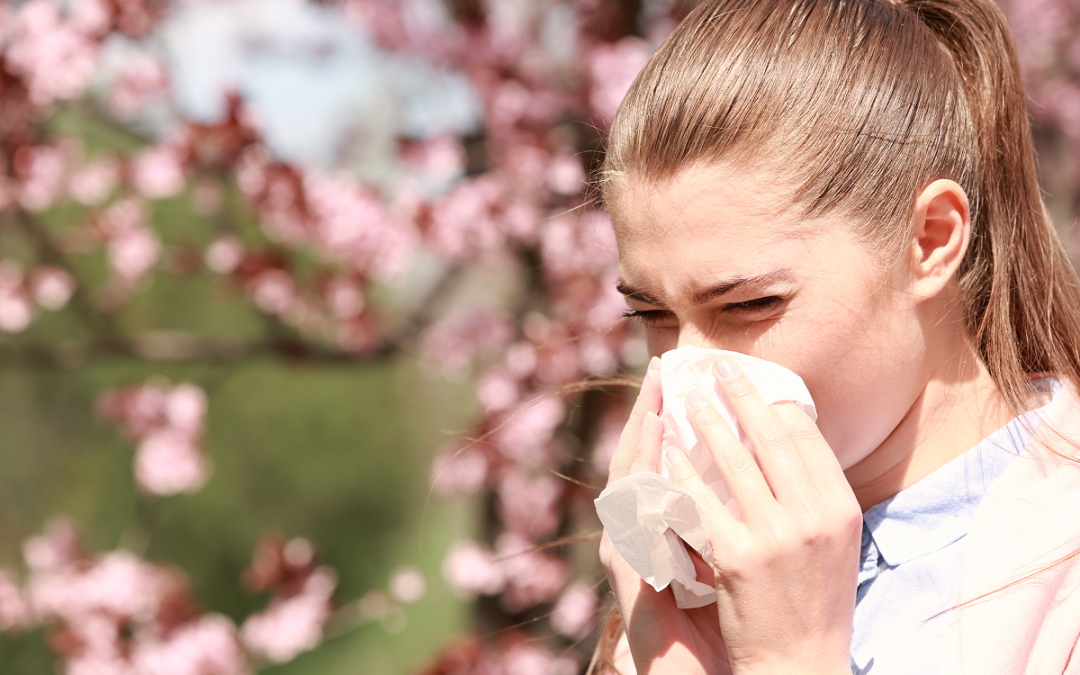 Spring Allergies in Bloom